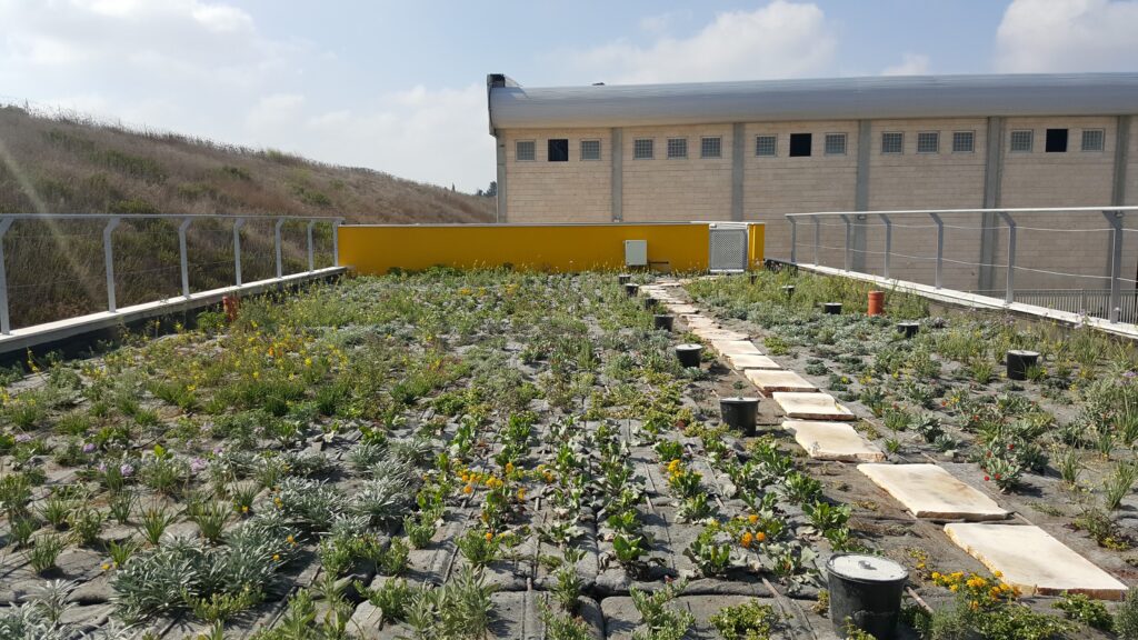 Landscaped planting in front of the DHL Mevo Carmel centre