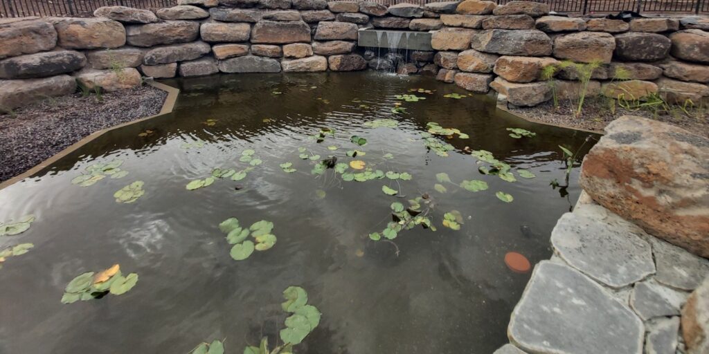 Water garden with a stone wall and water lilies at Beit Shulamit