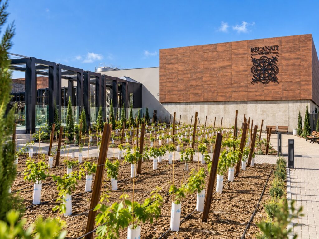 Recanati Winery - vineyard garden and facade